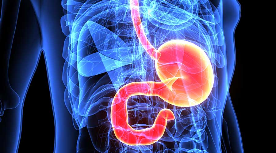 Specialised Services - Gastroenterology